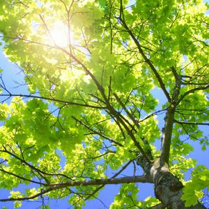 国产三级成年视频网站
